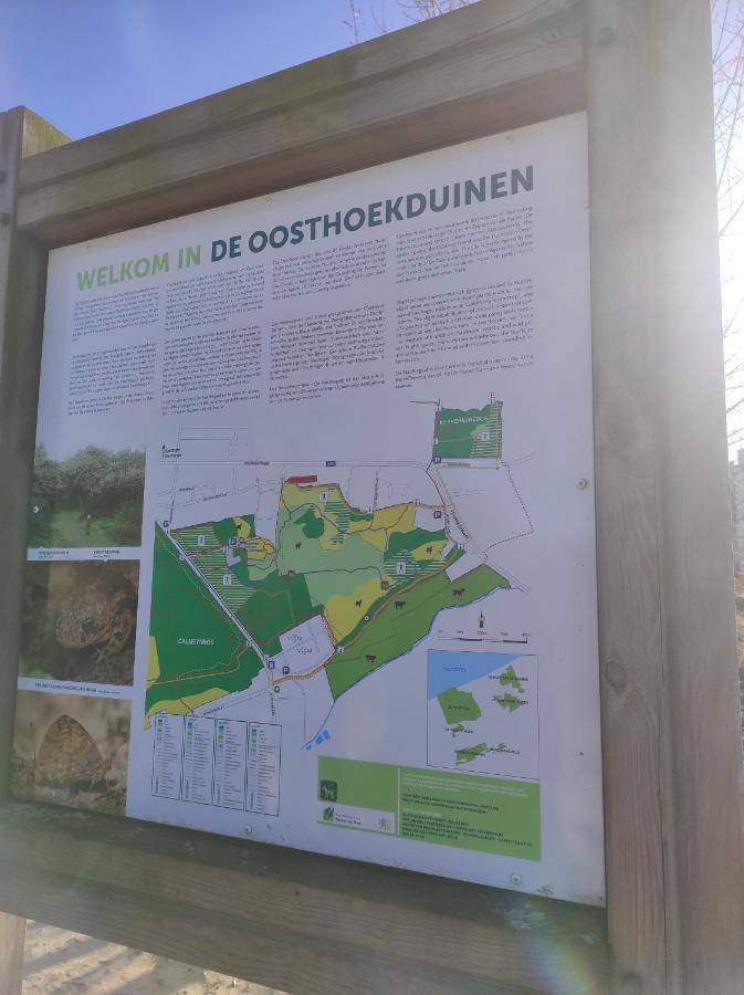 Villa 'T Calmeyntje De Panne Esterno foto